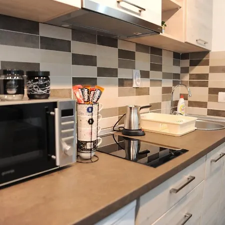 Kalina Suncani Breg アパート コパオニク